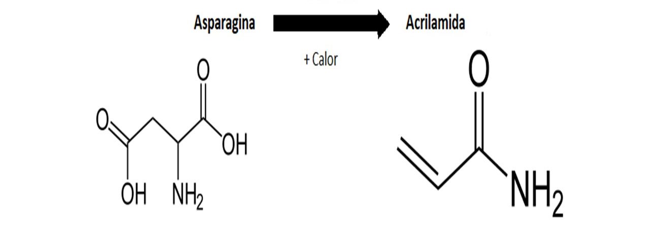 Qué es la acrilamida Blog de Salud y Deporte