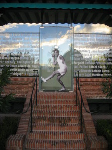 2010 10 noviembre 023