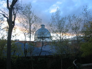 2010 10 noviembre 033